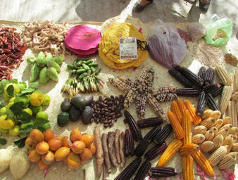 Cultura invita a los mexicanos a compartir recetas familiares o tradicionales que incluyan productos