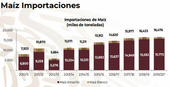 Nada para celebrar por el Día Nacional del Maíz: González Gudiño