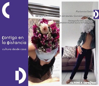 El Centro de Producción de Danza Contemporánea y la Compañía Nacional de Danza estrenan videodanzas