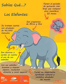 DÃa_del_Elefante.jpg