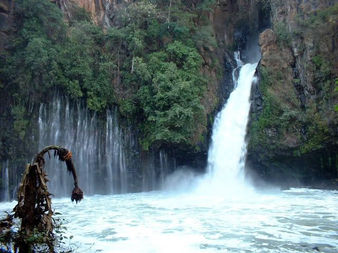 Conoce el Parque Barranca de Cupatitzio, en Uruapan, Michoacán