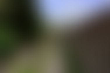 “Contigo en la Distancia” invita a echar un vistazo a los Monumentos Históricos de México.