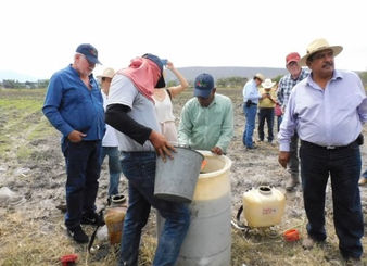 Baja la siembra en siete entidades mexicanas, por Covid-19: Biofábrica