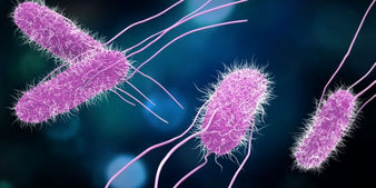 Las bacterias podrían ser la clave para curar el Covid-19 según estudio