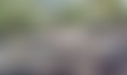 Echa un vistazo a la zona Arqueológica Balcón de Montezuma en el estado deTamaulipas