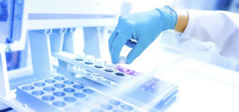 OMS reanudará los ensayos clínicos de hidroxicloroquina en casos de coronavirus