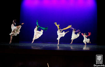 Personalidad y estilo, características del Ballet Provincial del Instituto Potosino de Bellas Artes