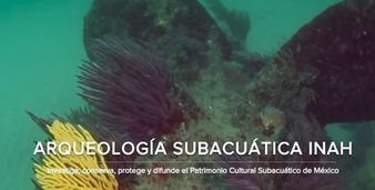 Acercan el patrimonio subacuático de México a internautas