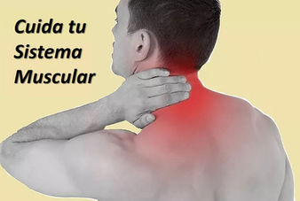 En la cuarentena cuida tu sistema muscular