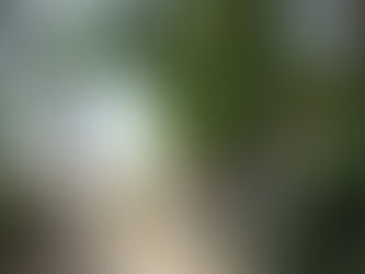 A família do coração...