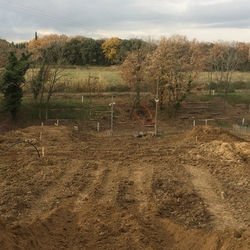 15380782_1774710896113999_1995302303285894461_n