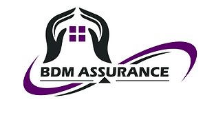 LOGO BDM ASSURANCE (2).png