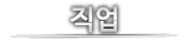 직업란.png