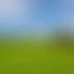 ags-golf-course-consultancy