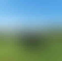 ags-golf-course-agronomy-consultancy