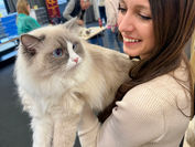 Parndorf, International Cat show