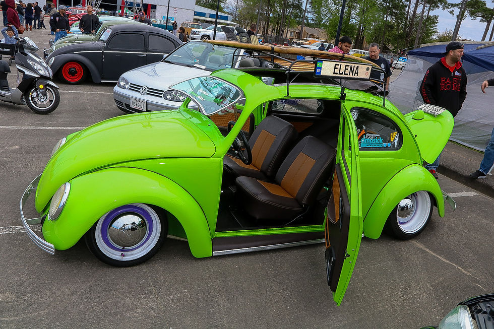 BUGS CAMP HUMBLE 2019 (1)