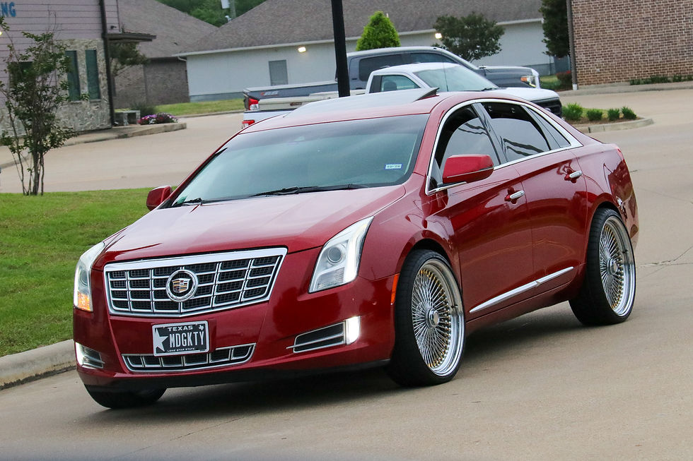 1 - LUPE TORTILLAS (18)