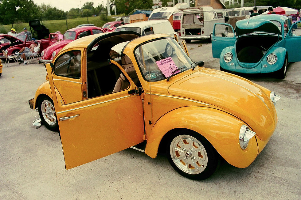 VWS (21)