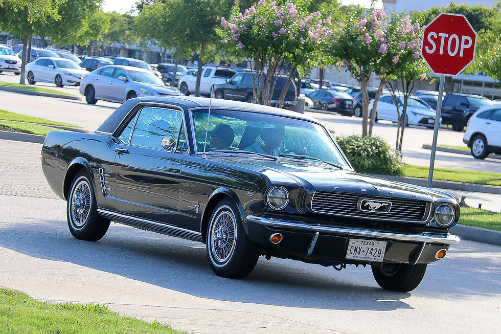 1 - PEARLAND CRUISE (6)