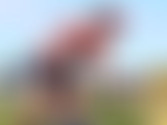 24-10-2021 / Cross Zonhoven