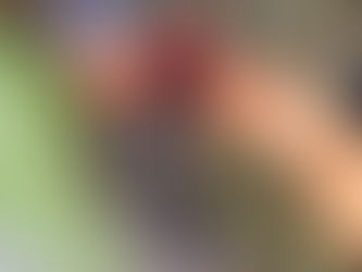 12-01-2025 / NK