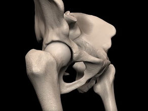 כאב בצד הירך lateral thigh pain