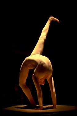 Credit: Craig Dagostino