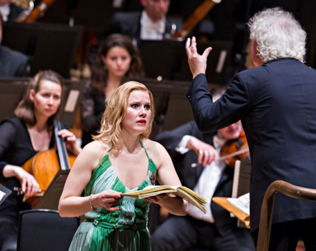 Das Paradies und die Pari