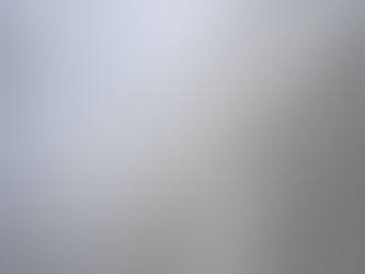 Biennale Venezia 2019