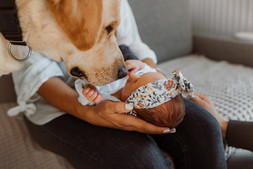 Sesja noworodkowa w domu Warszawa -pies  dotykający noskiem nosa noworodka