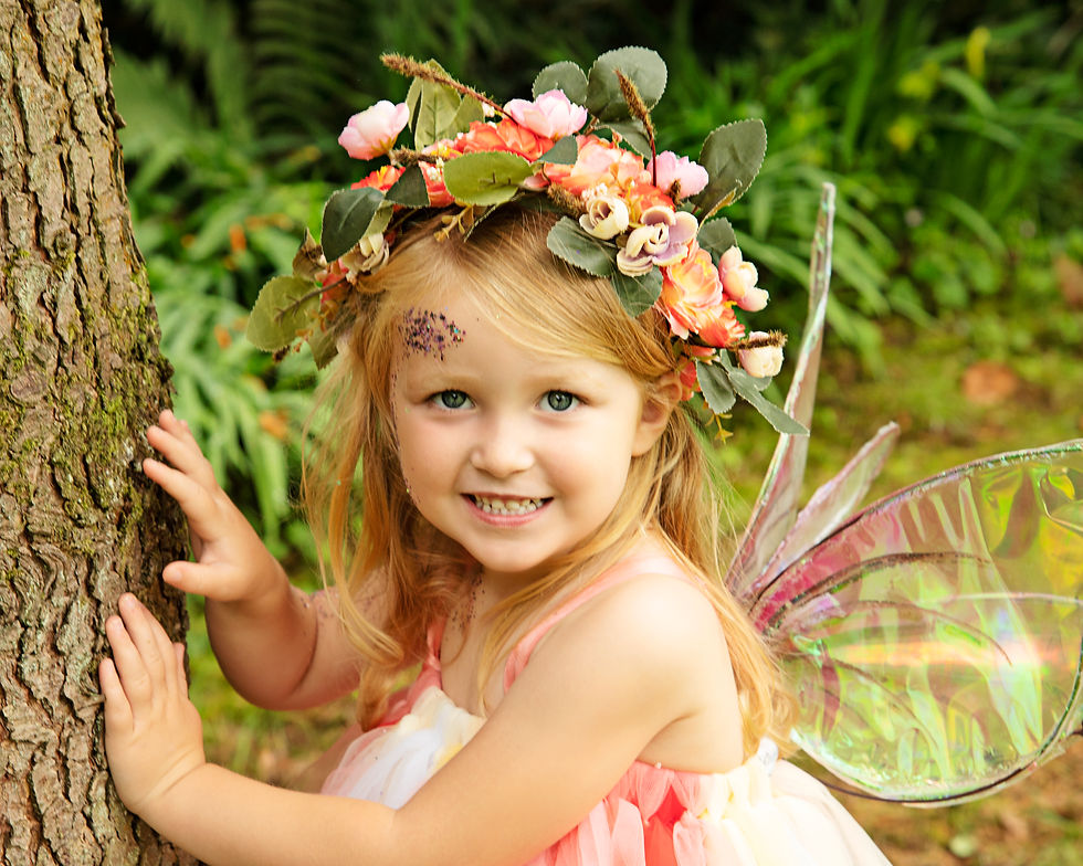 fairy pic lancashire