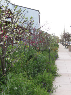2010-03-24 023.jpg