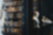 giammarco-boscaro-zeH-ljawHtg-unsplash_edited.jpg