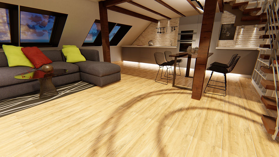 I.D.- 01. Attic renovation