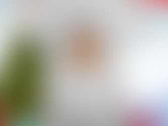 Austin City Limits Music Festival Ringer T-shirt