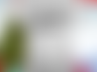 Diva Los Raiders nation shirt