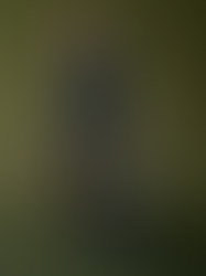 Electric Wasabi & Plum Noir: The New Power Palette Redefining Workwear in 2026