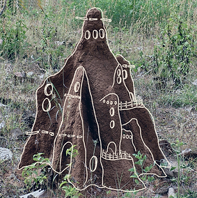 Bioconstruction and vernacular architecture