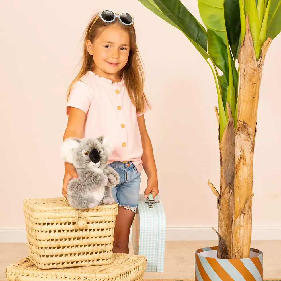Miniature : Peluche koala grise posée sur des paniers, à côté d’un enfant souriant.