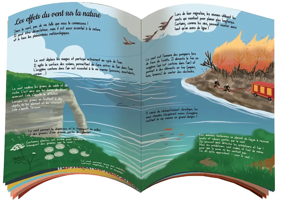 Miniature : Livret éducatif illustré expliquant les effets du vent sur la nature pour enfant