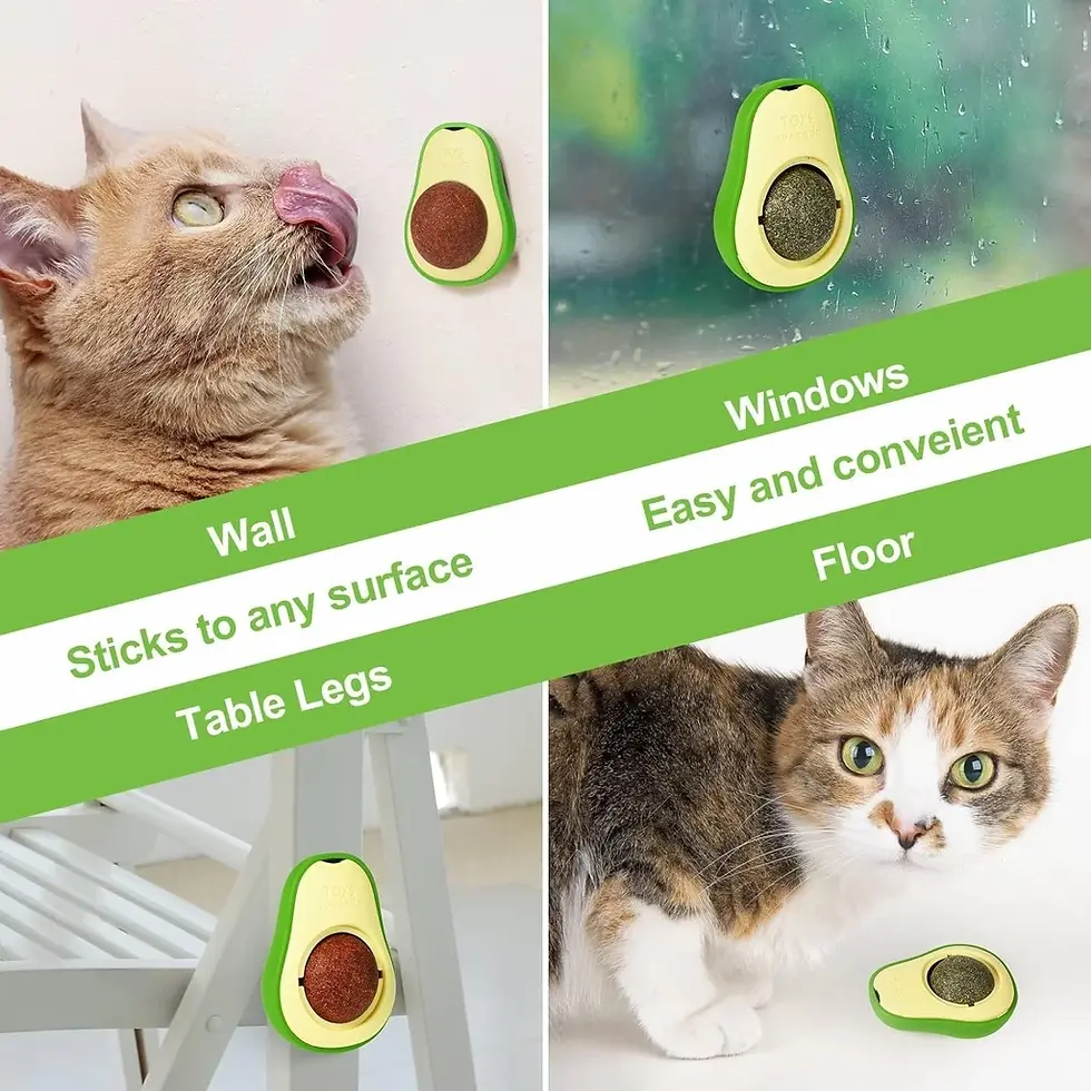 Miniatura: Bola de lamber com ervas naturais para gatos, brinquedo de limpeza com abacate
