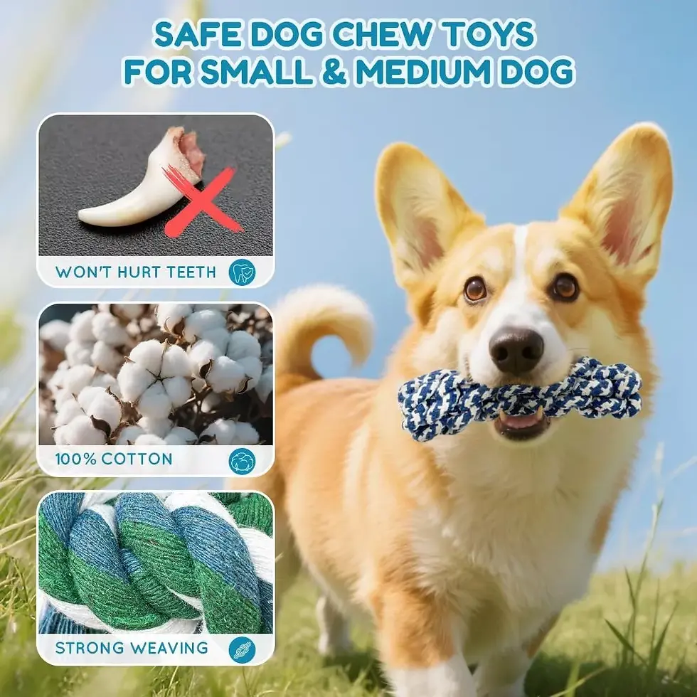 Miniatura: Kit 10/6 para Limpeza de Dentes de Filhotes Antiestresse Pet Ranger