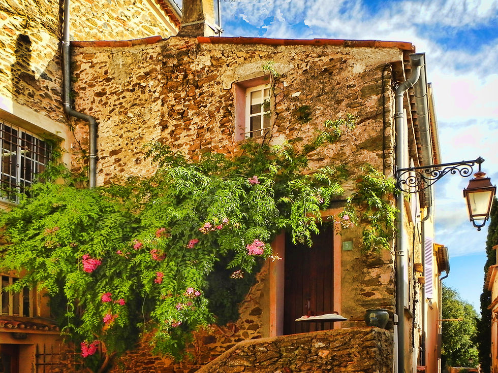 Tropez Blooms