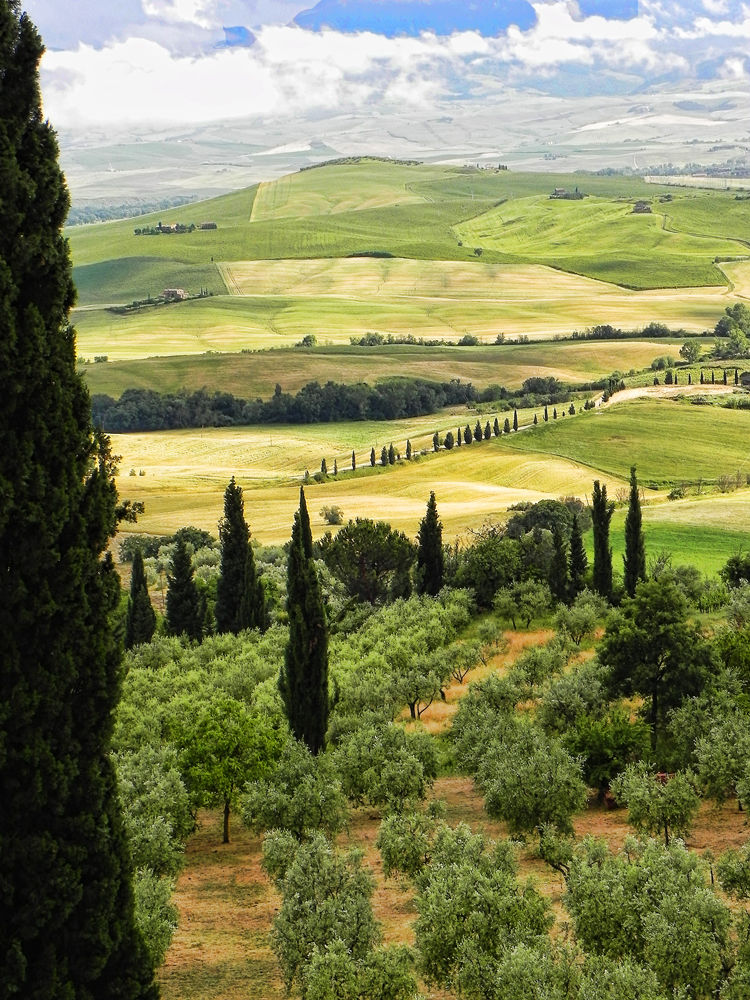 Pienza Landscape