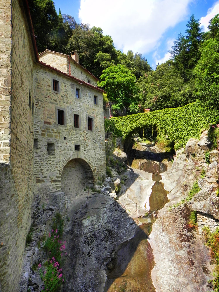 Saint Francis' Sanctuary