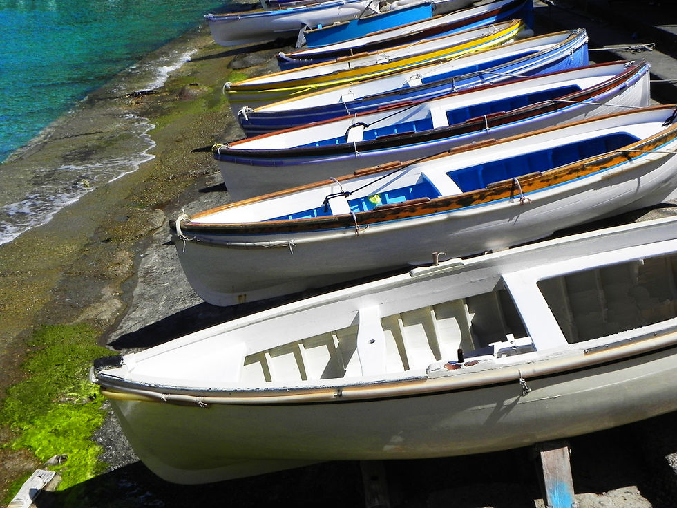 Capri Boats