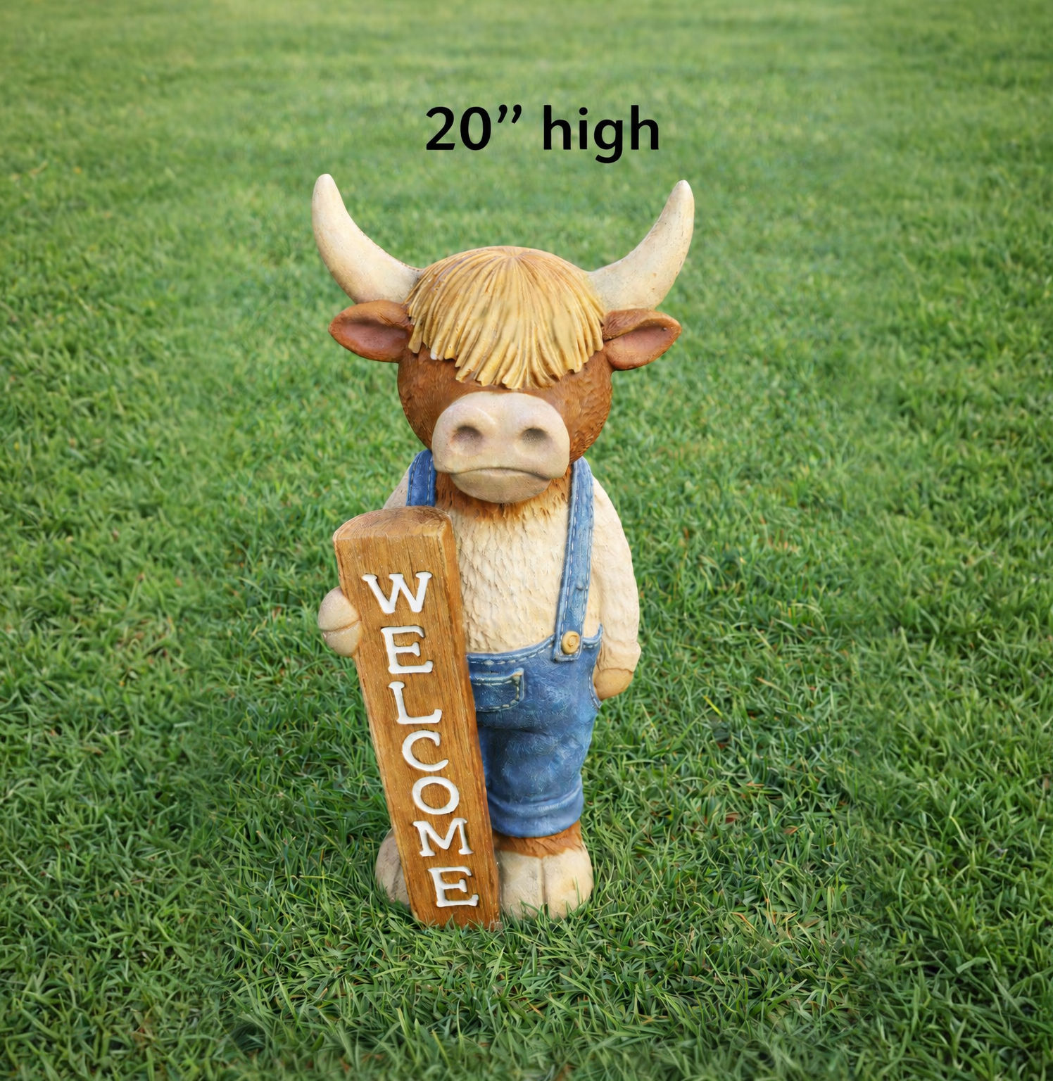 Highland Welcome Cow