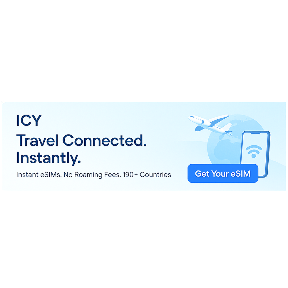 icy sim 2
