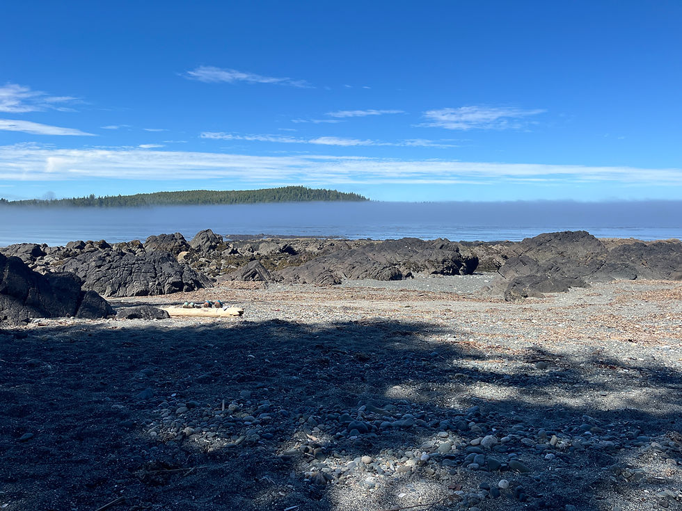 Nissen Bight on the North Coast Trail